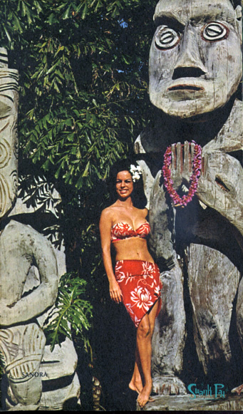 Sandra inside the cover
