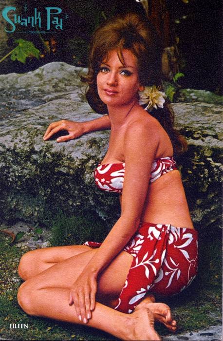 Eileen - Miss November 1968